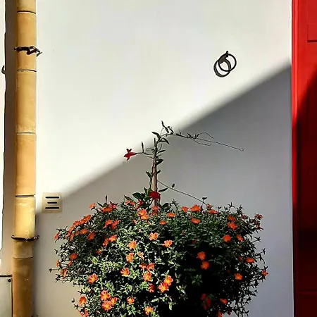 Corte Santangelo 15 * Tricase